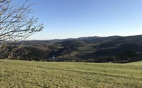 Gluehalm Willingen