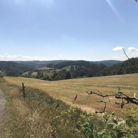 Gluehalm Willingen Villa Willingen  Buitenkant foto