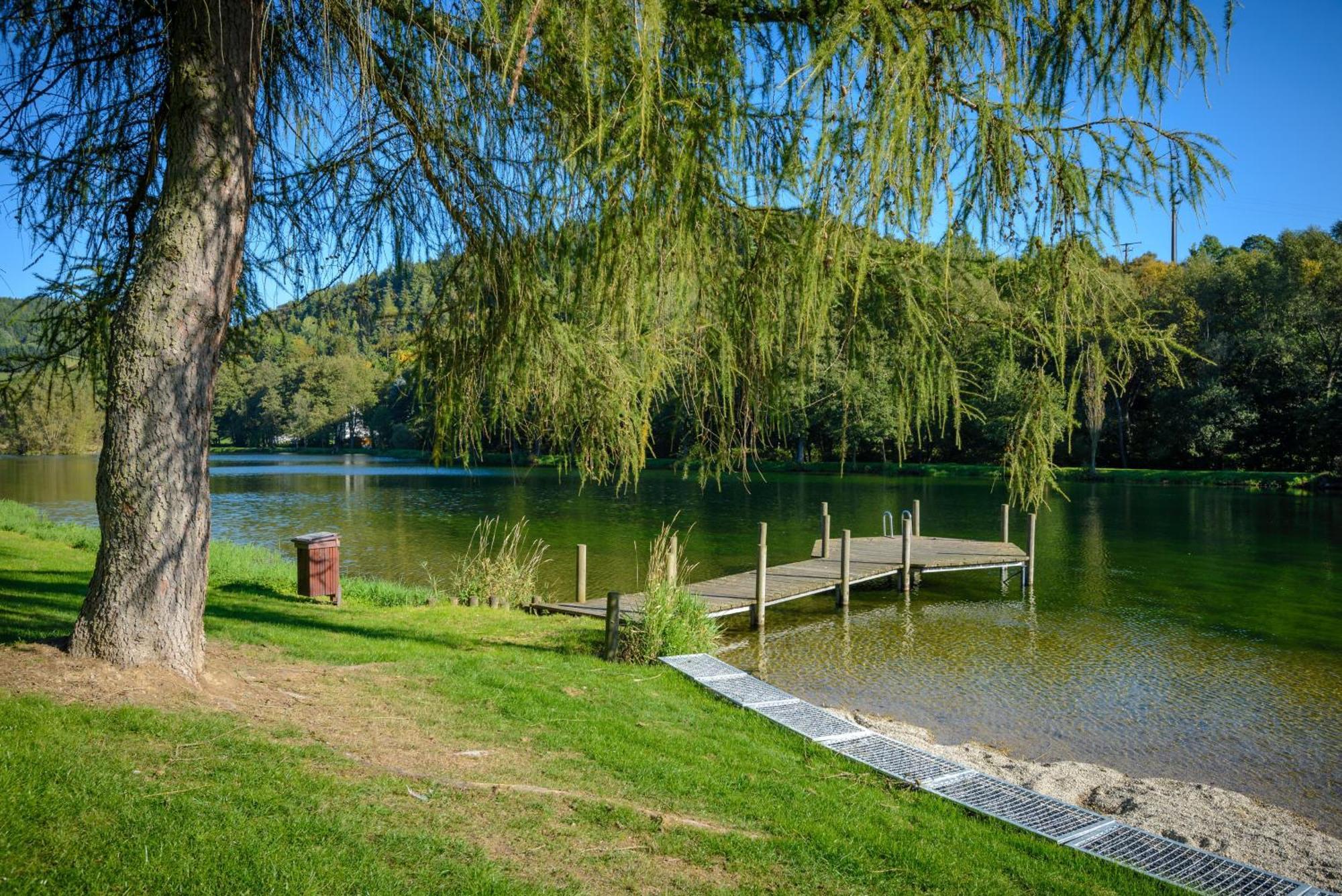 Gluehalm Willingen Villa Willingen  Buitenkant foto