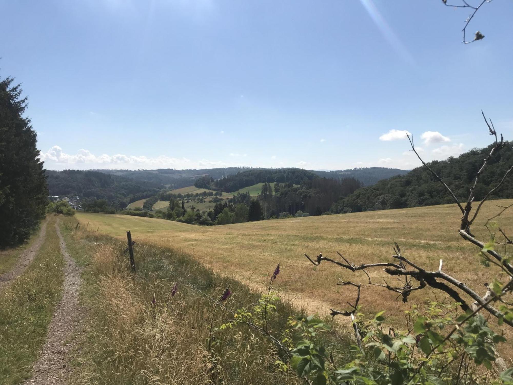 Gluehalm Willingen Villa Willingen  Buitenkant foto