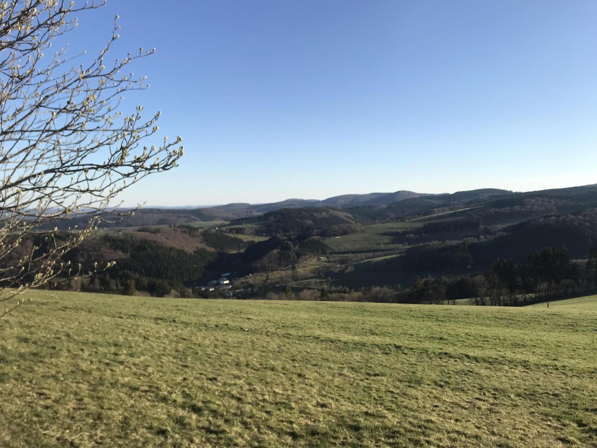 Gluehalm Willingen Villa Willingen  Buitenkant foto