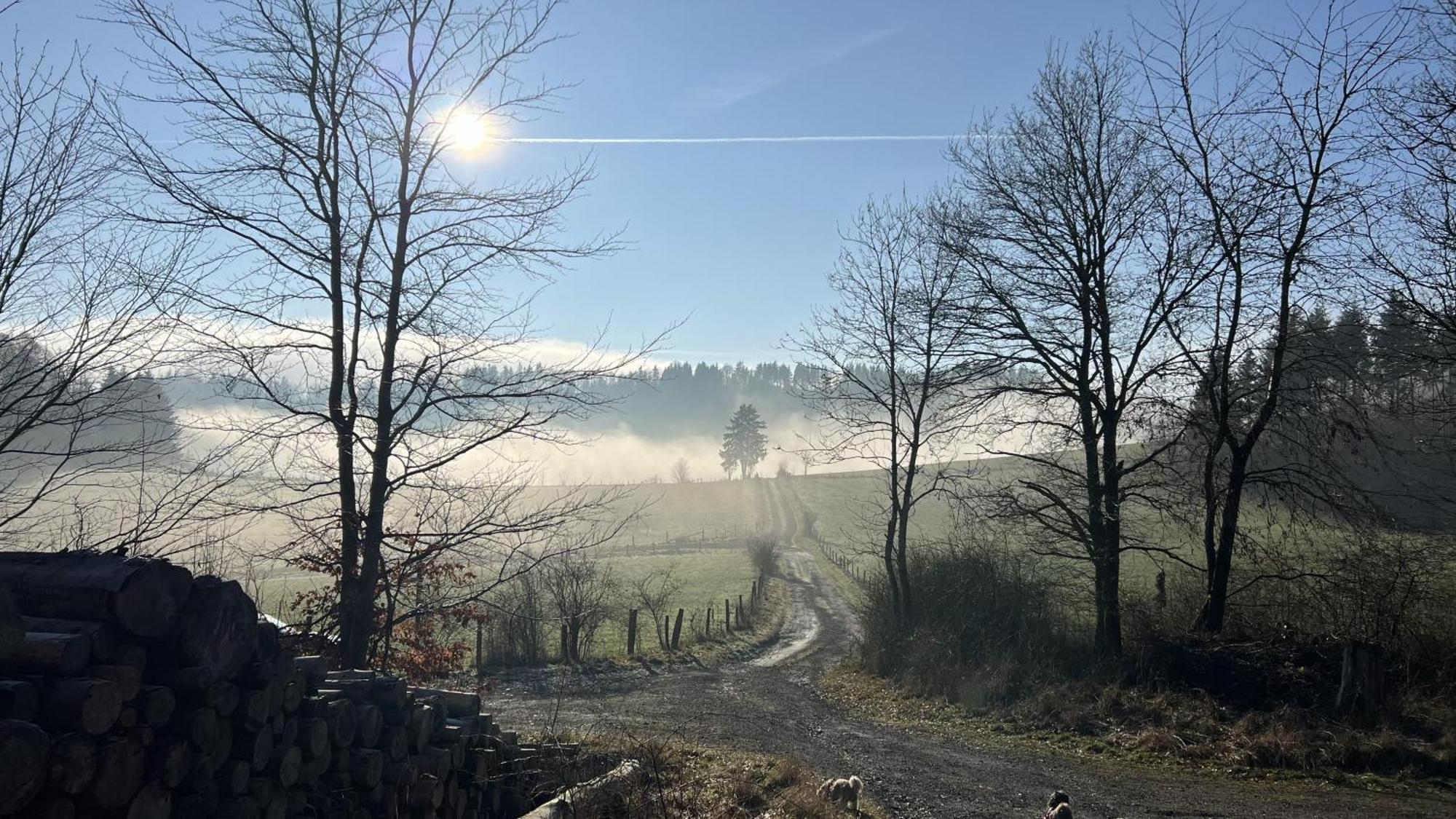 Gluehalm Willingen Villa Willingen  Buitenkant foto