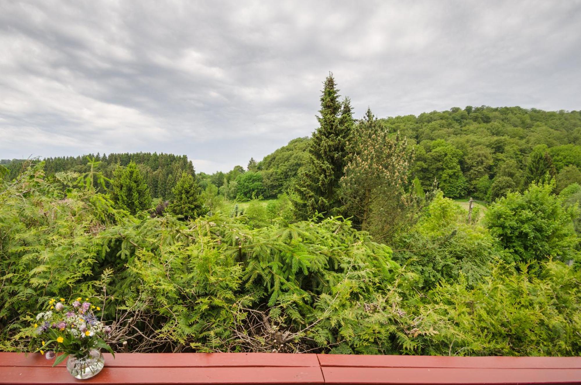 Gluehalm Willingen Villa Willingen  Buitenkant foto
